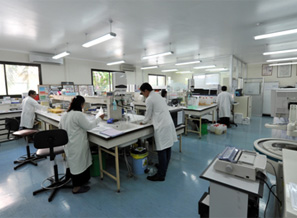 Inside Institut Pasteur in Cambodia